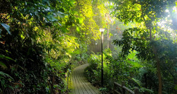 The Sen (D21), Condominium #475548141